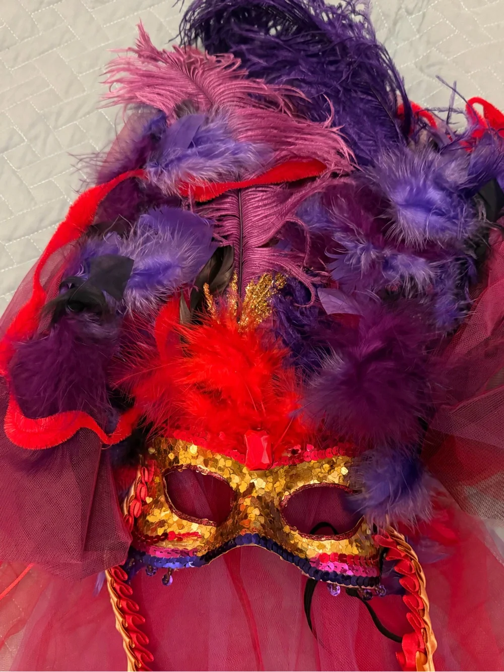 Vintage Signed Chapeau Maui Handcrafted Masquerade Mask & Feather Headdress